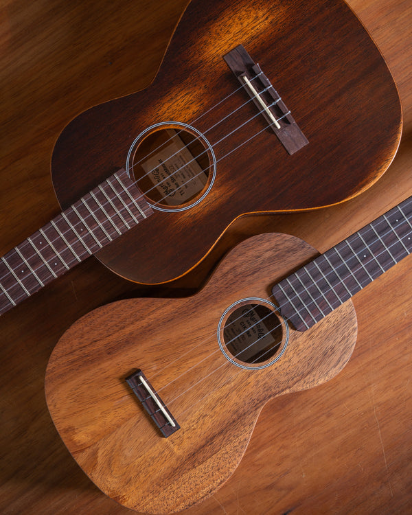 Soprano, Concert or Tenor: How the Three Sizes Actually Differ