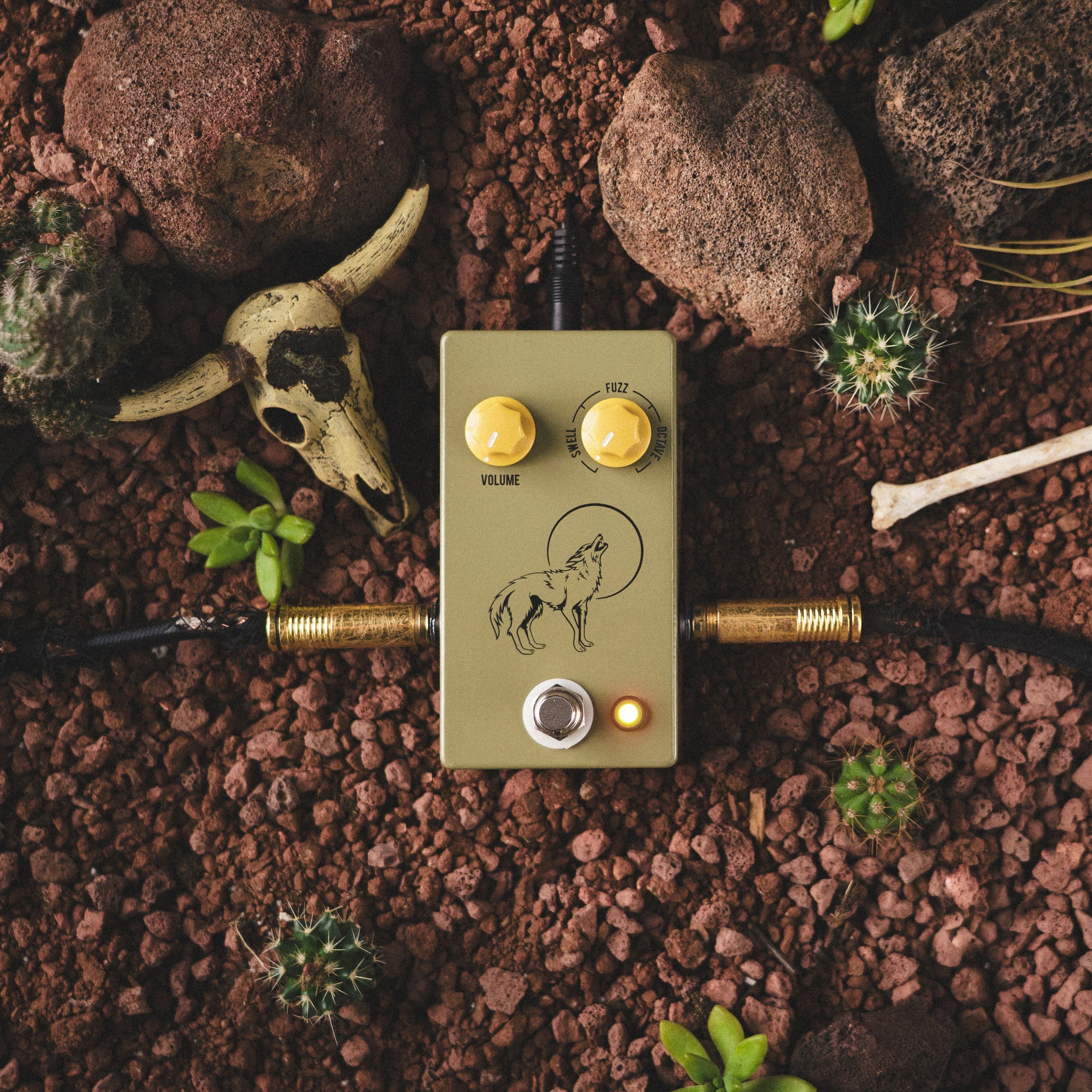 JHS Coyote Octave Fuzz - New