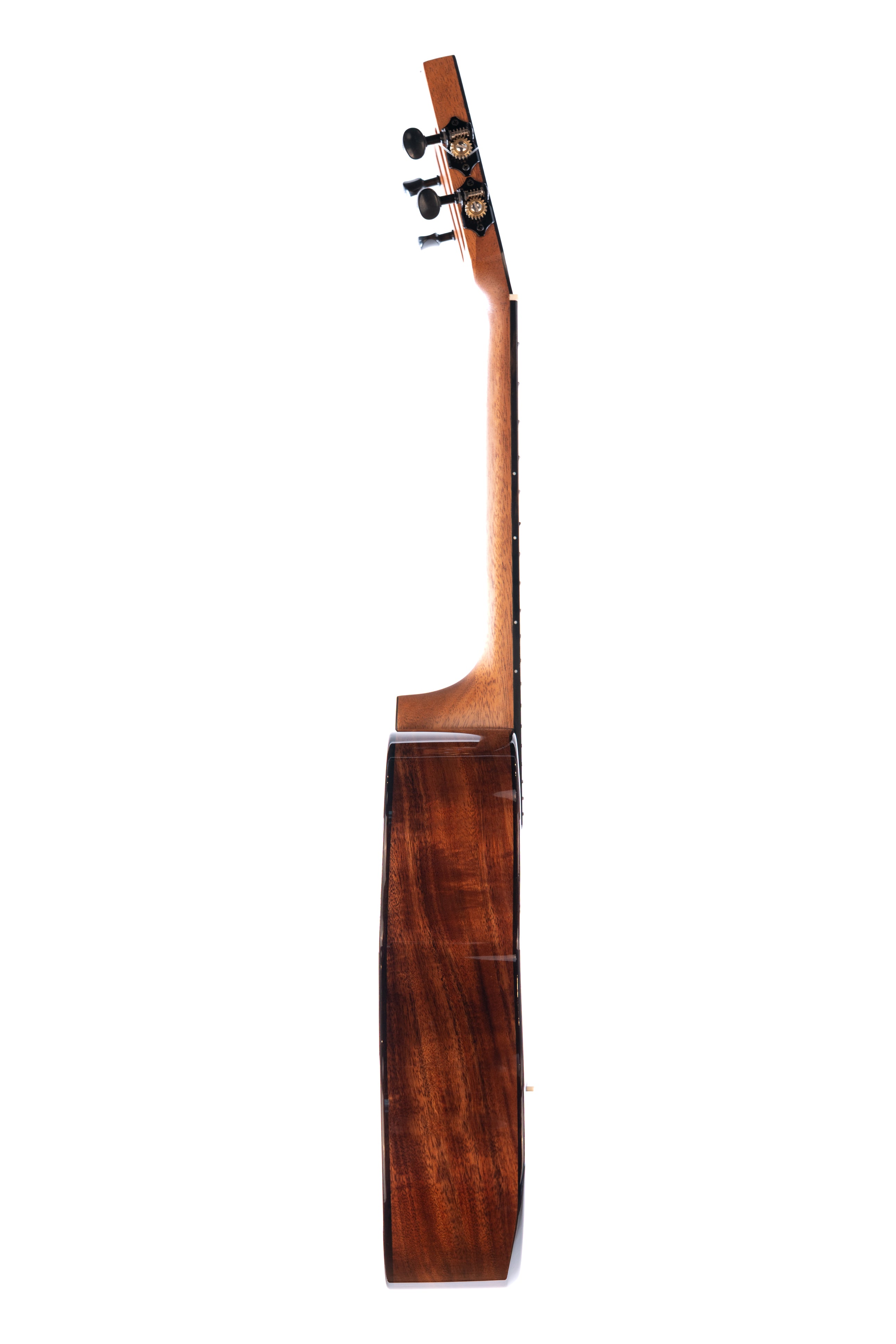 Kala Contour All Solid Gloss Acacia Tenor Ukulele