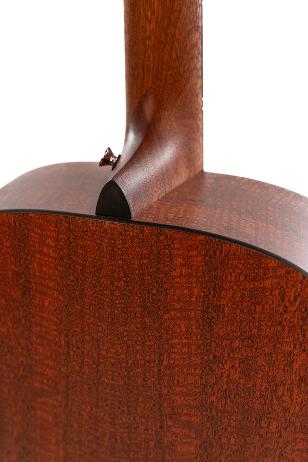 Brand New Martin DX-2E Molly Tuttle