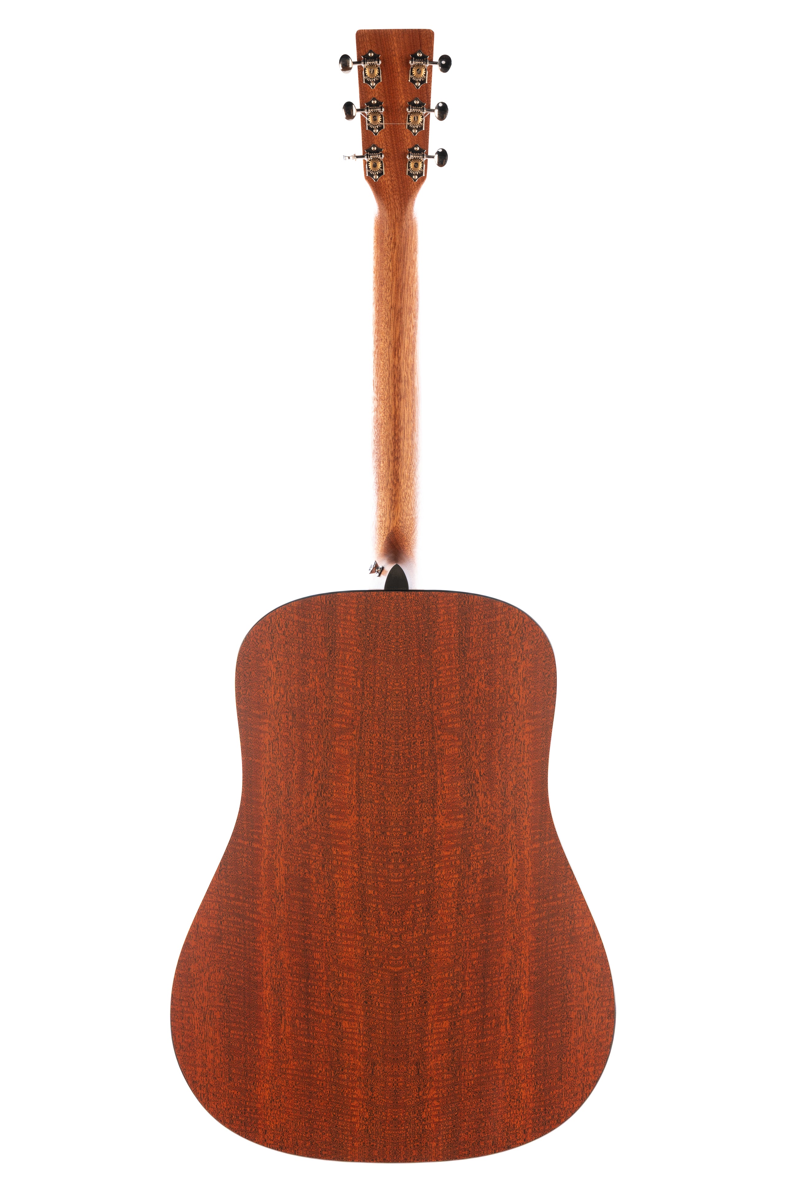 Brand New Martin DX-2E Molly Tuttle