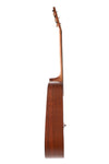 Brand New Martin DX-2E Molly Tuttle