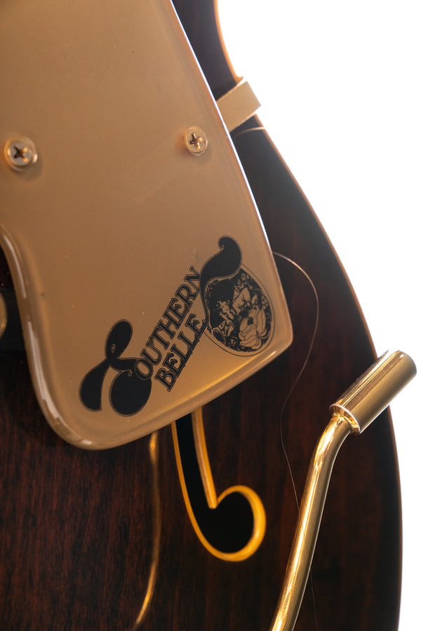1983 Gretsch 7676 Southern Belle in Walnut