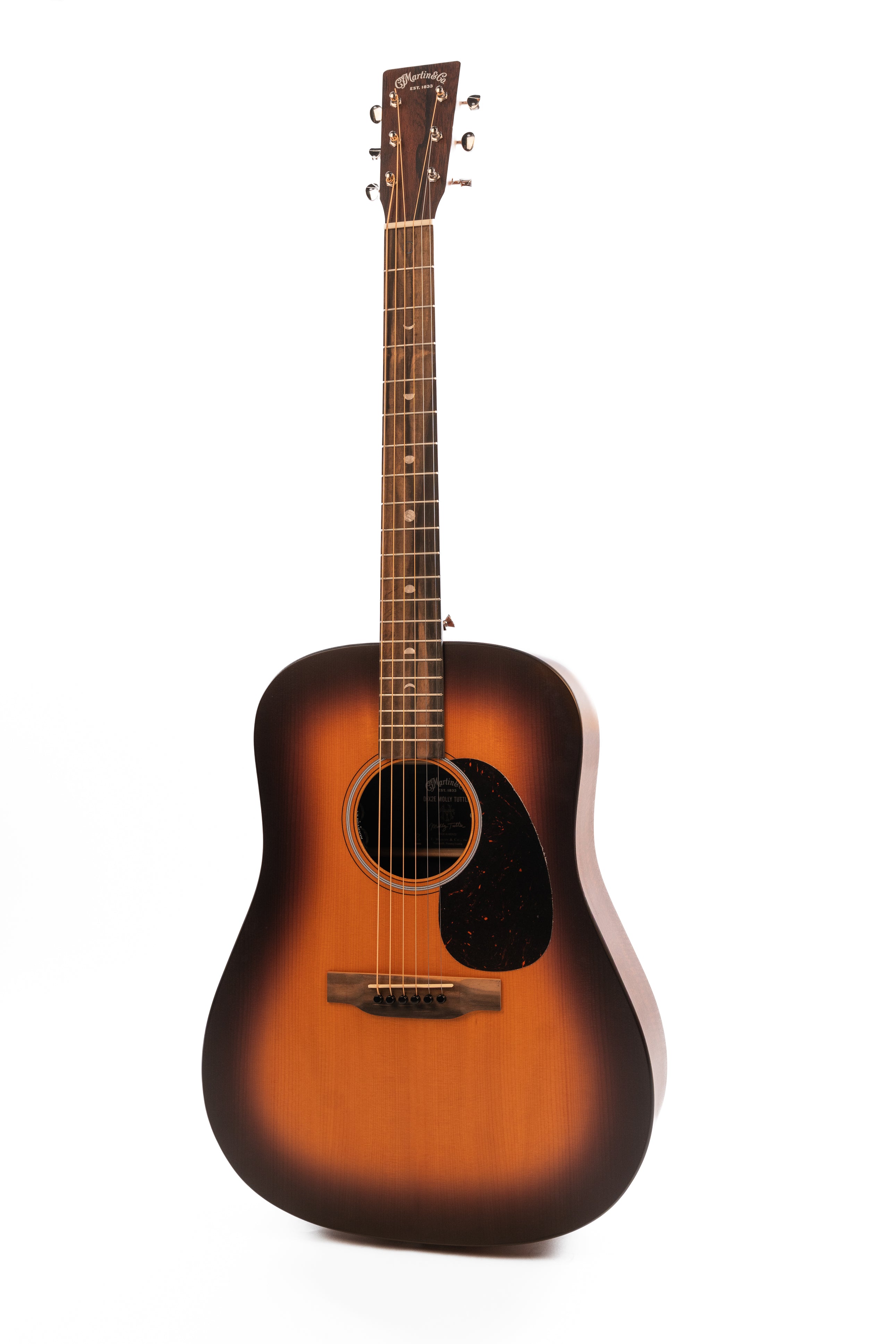 Brand New Martin DX-2E Molly Tuttle