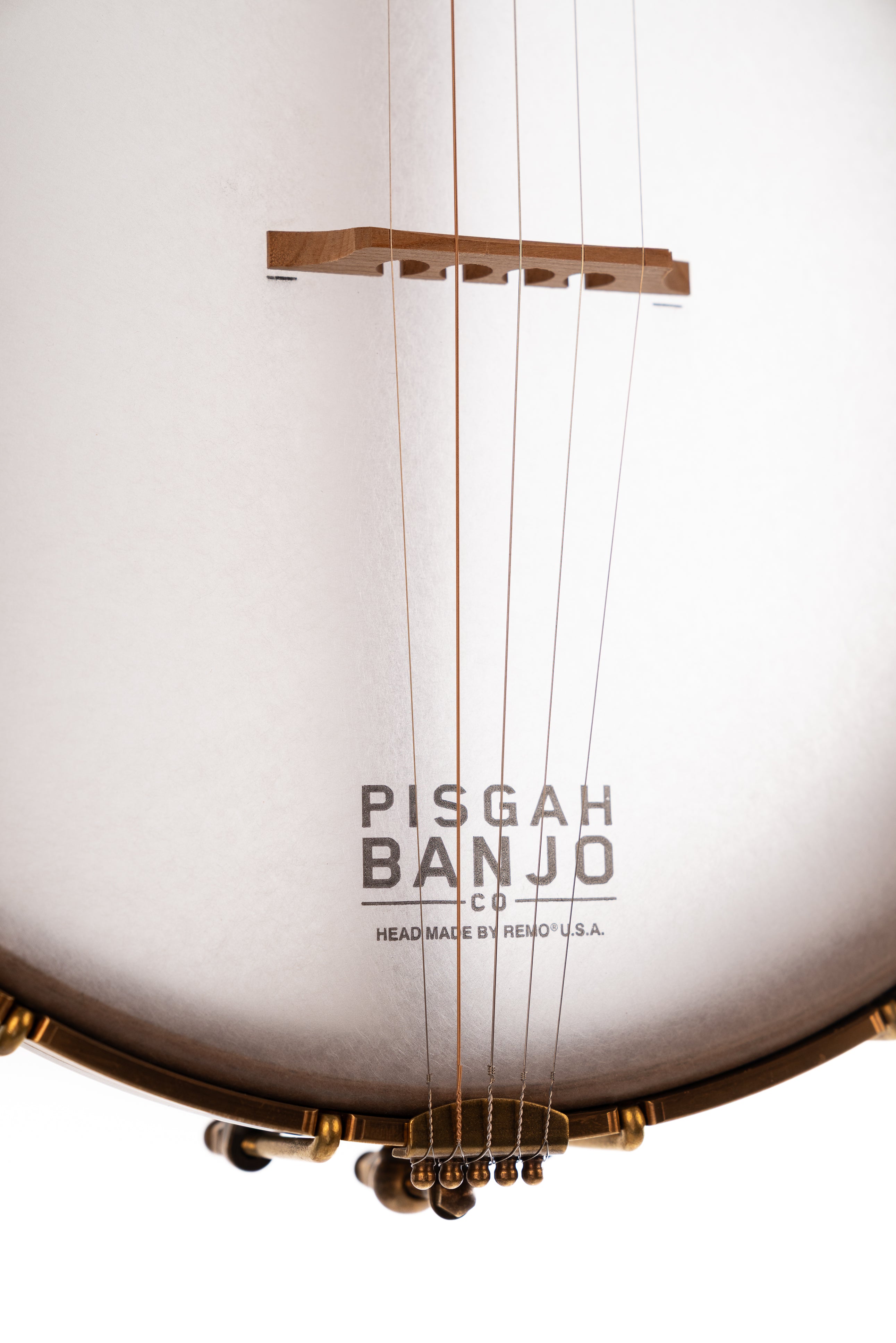 Pisgah Roscoe Open Back Banjo