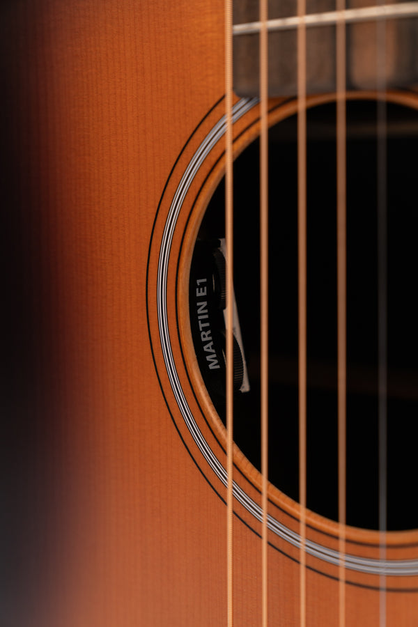 Brand New Martin DX-2E Molly Tuttle