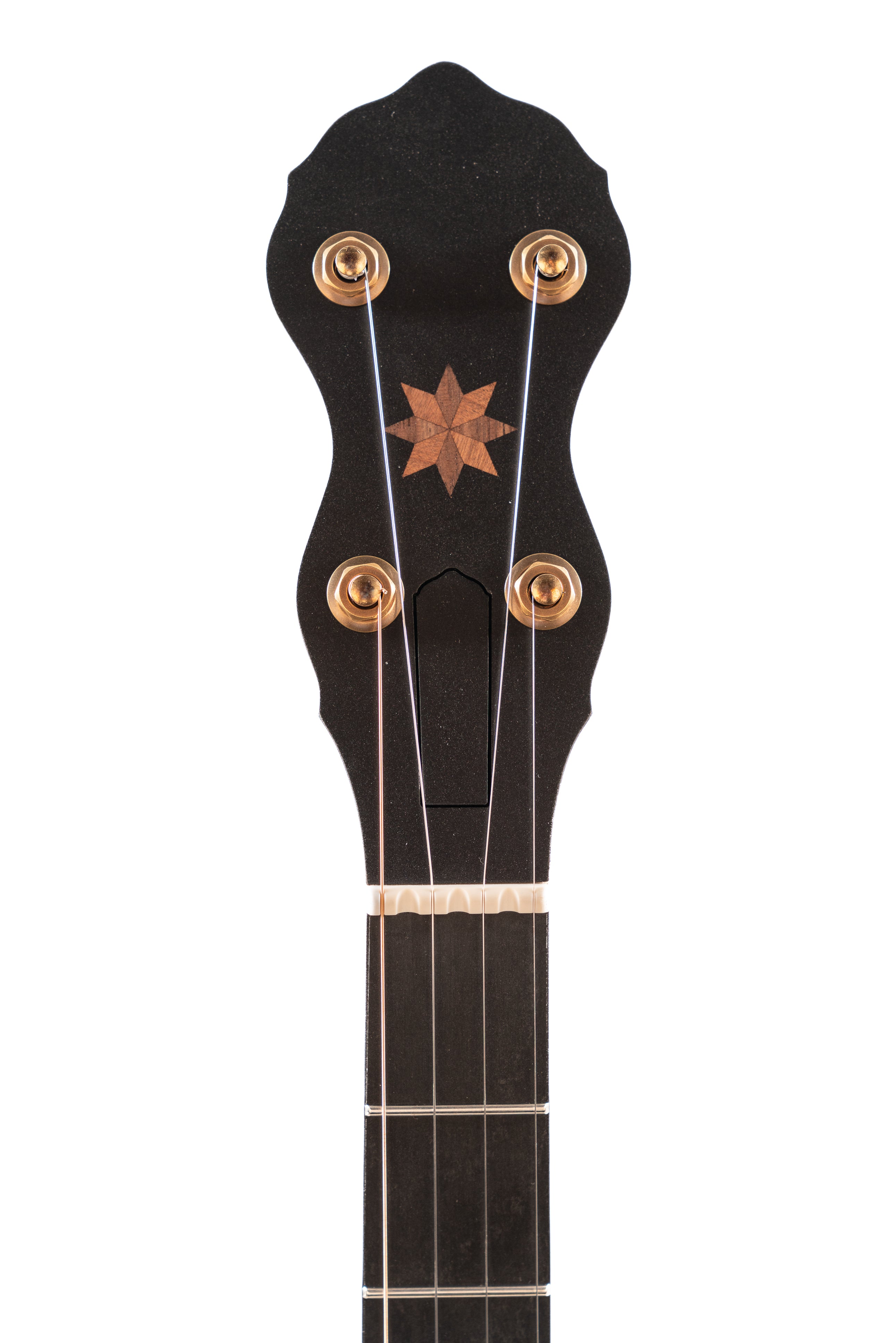 Pisgah Wonder Open Back Banjo