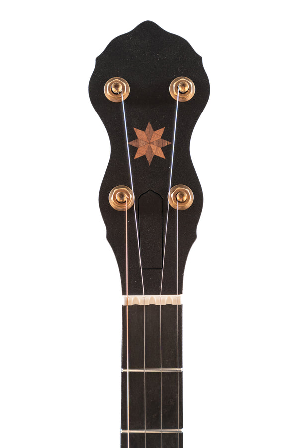 Pisgah Wonder Open Back Banjo