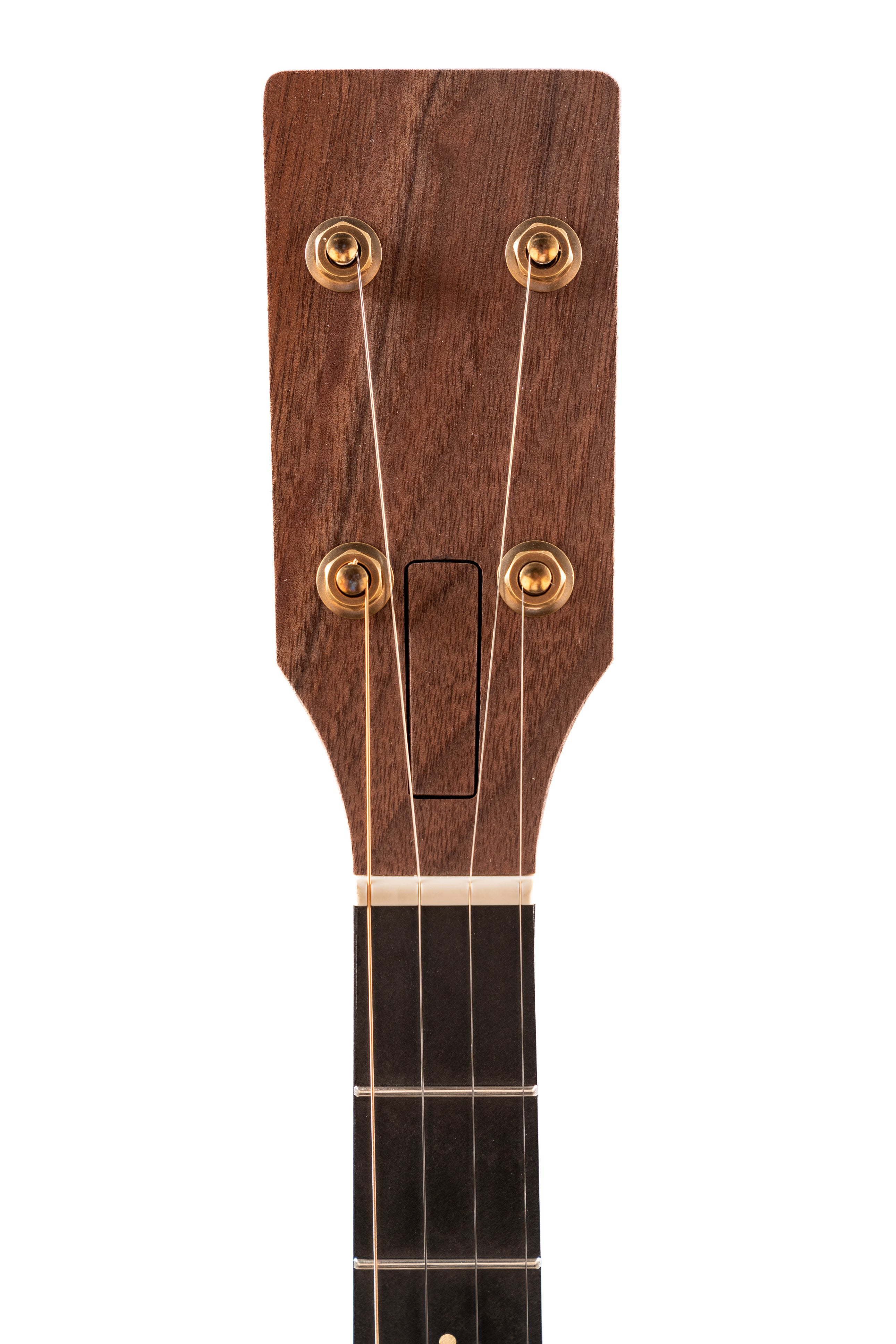 Pisgah Roscoe Open Back Banjo