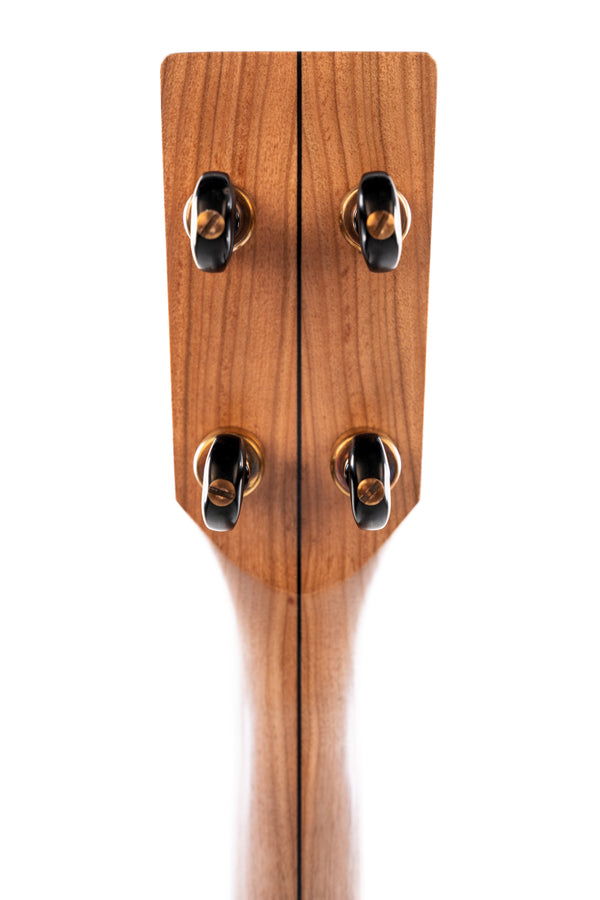 Pisgah Roscoe Open Back Banjo
