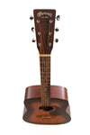 Brand New Martin DX-2E Molly Tuttle