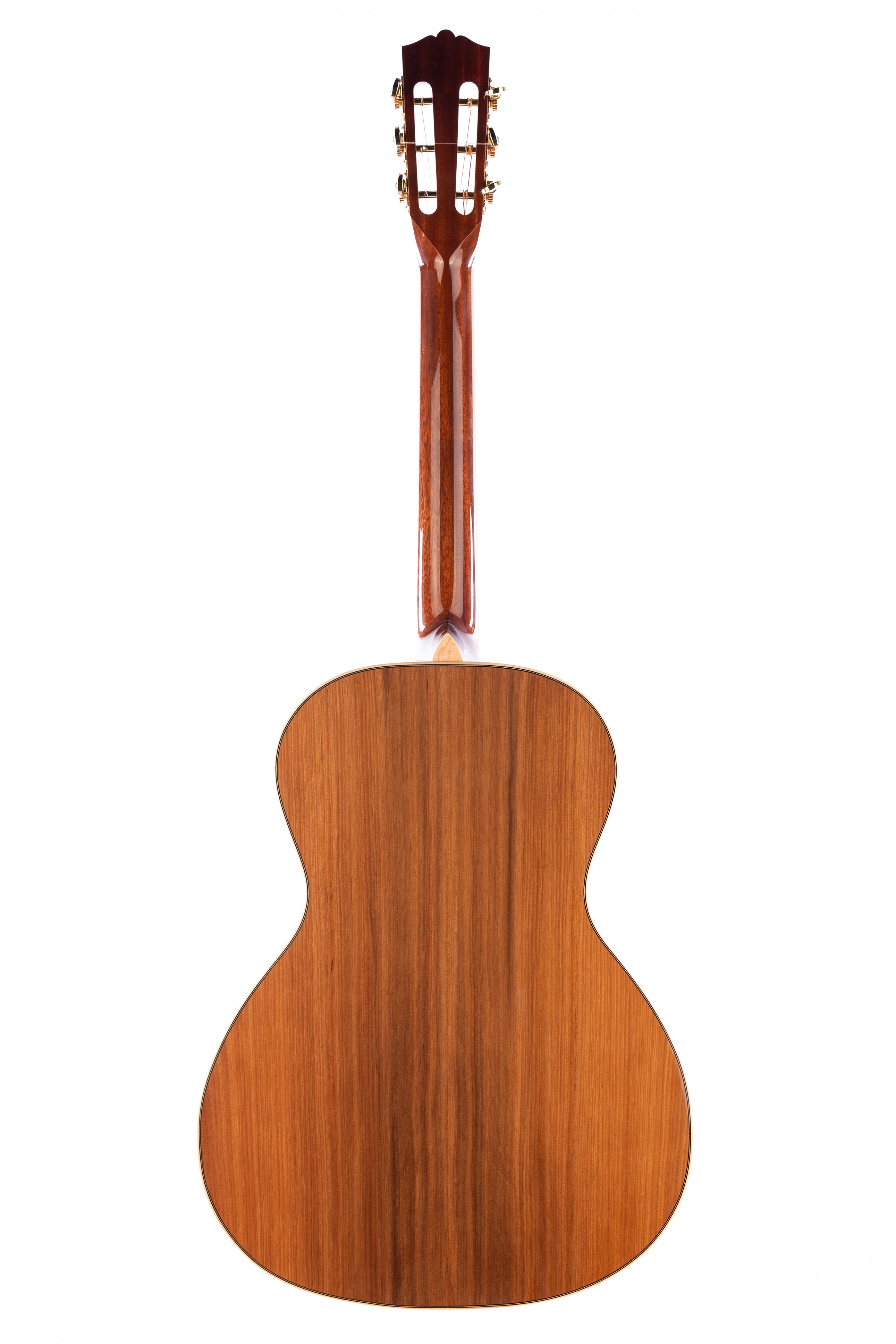 2025 Benavides 00-12 Deluxe