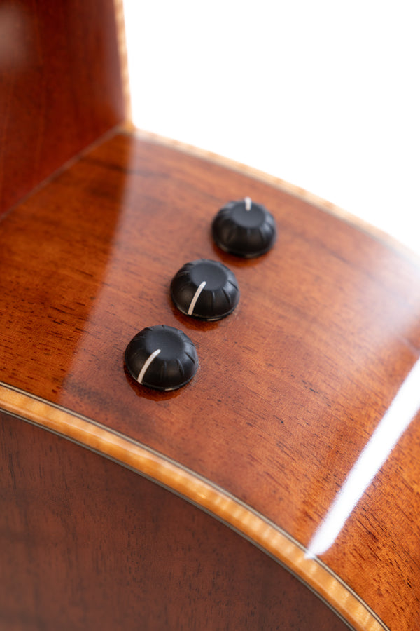 Taylor Custom GA Walnut