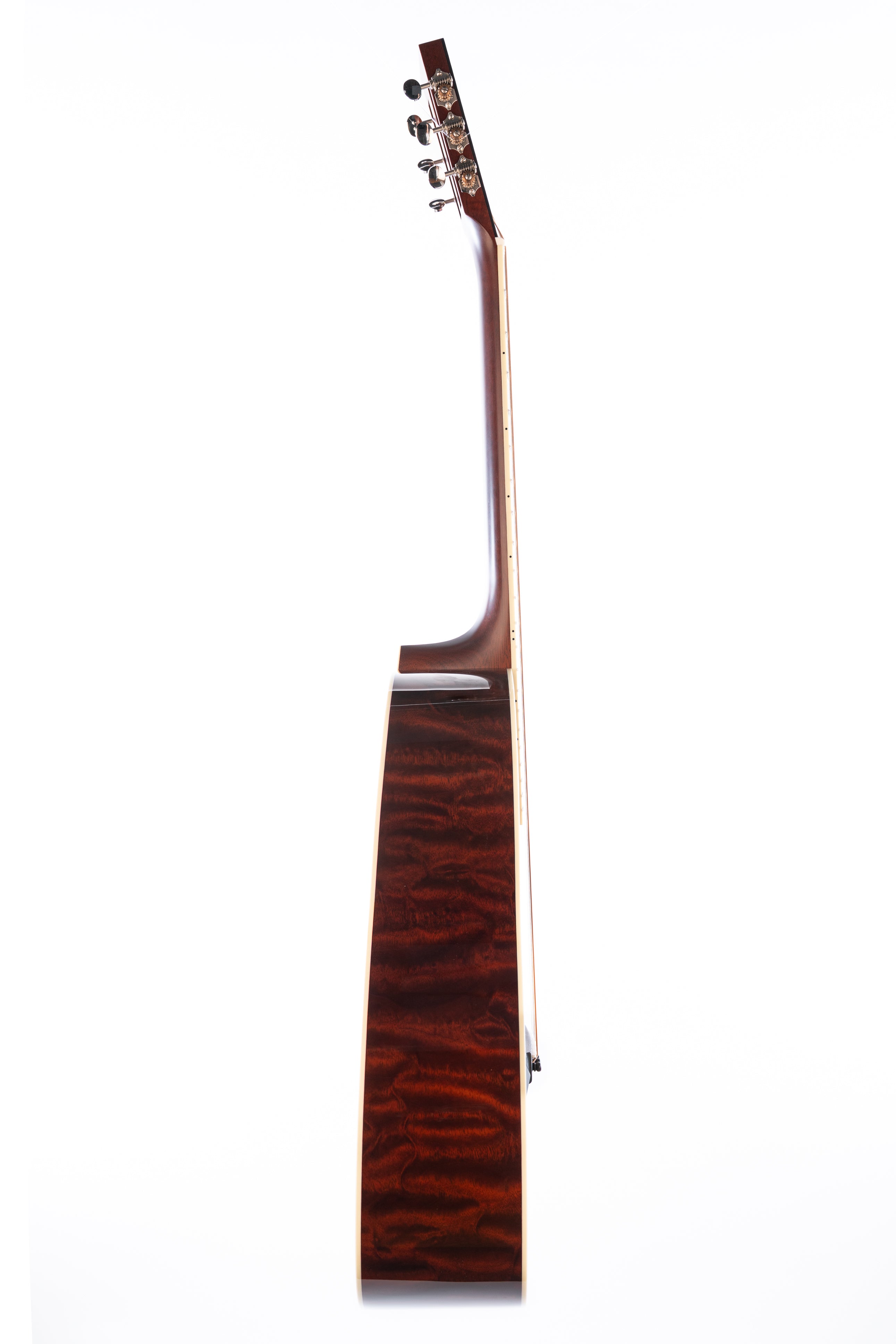 Santa Cruz H13 - The Tree