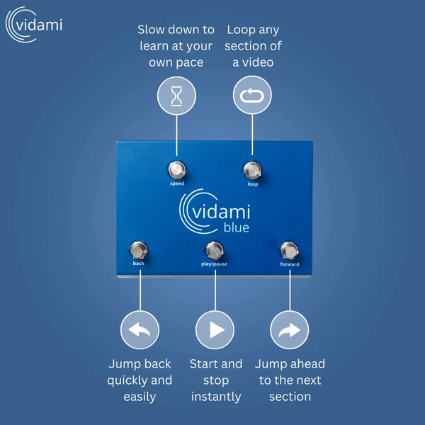 Vidami Blue - 3 in 1 Wireless Controller