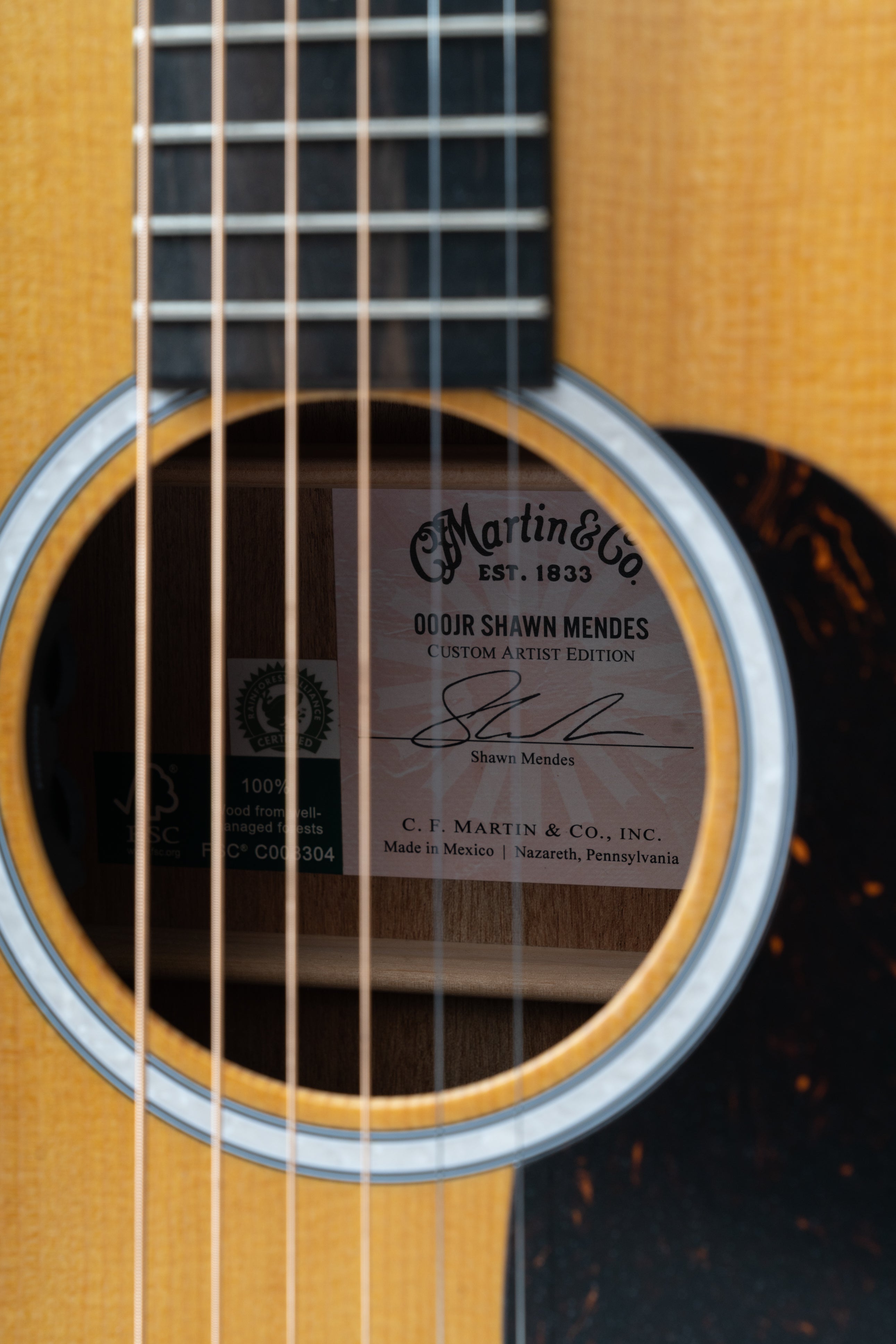 Martin 000JR-10E Shawn Mendes Acoustic Guitar : Brand New